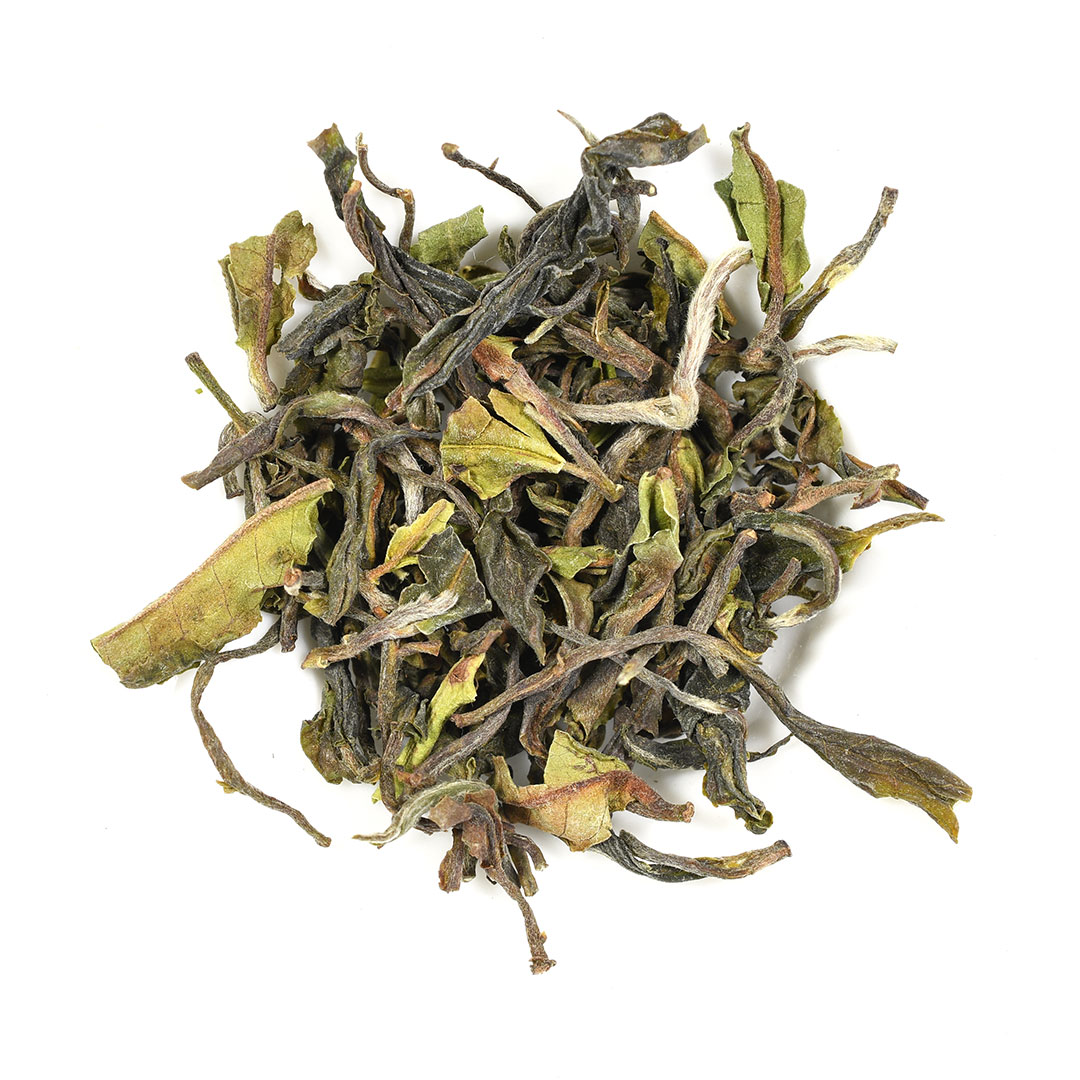 Darjeeling 2021 1st Flush Giddapahar Tea Estate 'Early Wonder' - Image 3