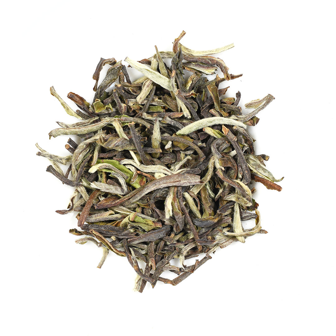 Darjeeling 2021 1st Flush Upper Fagu Tea Estate 'Enigma' - Image 3