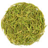 Anji Bai Cha green tea