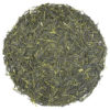 Sencha Saito Tsuyuhikari green tea