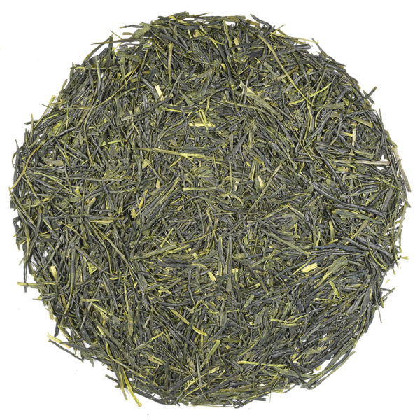 Sencha Saito Tsuyuhikari green tea