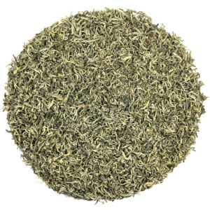 Sprouting Leaf Dusted with Snow