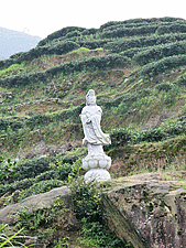 img-3529
