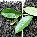 img-tea101a