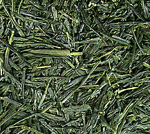 tea-greenj