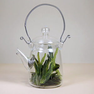 Glass Tall Teapot
