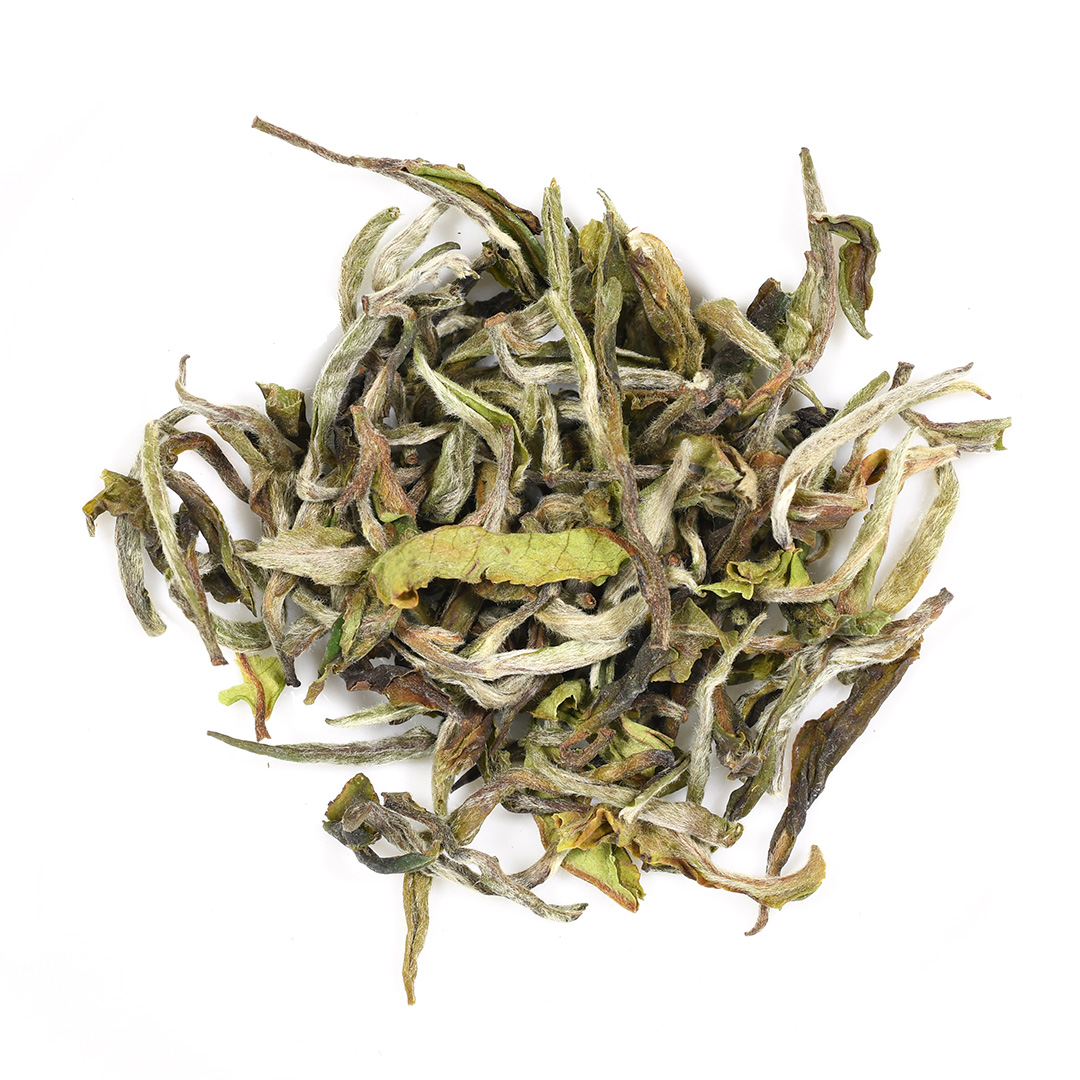 Nepal Himalaya White Moon Dance - Image 3