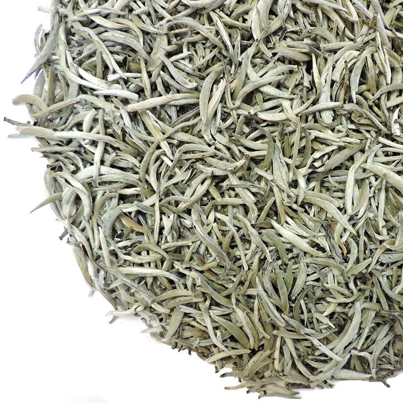 Yin Zhen white tea close up